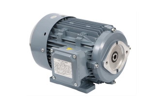 潤滑泵專用電機(jī)